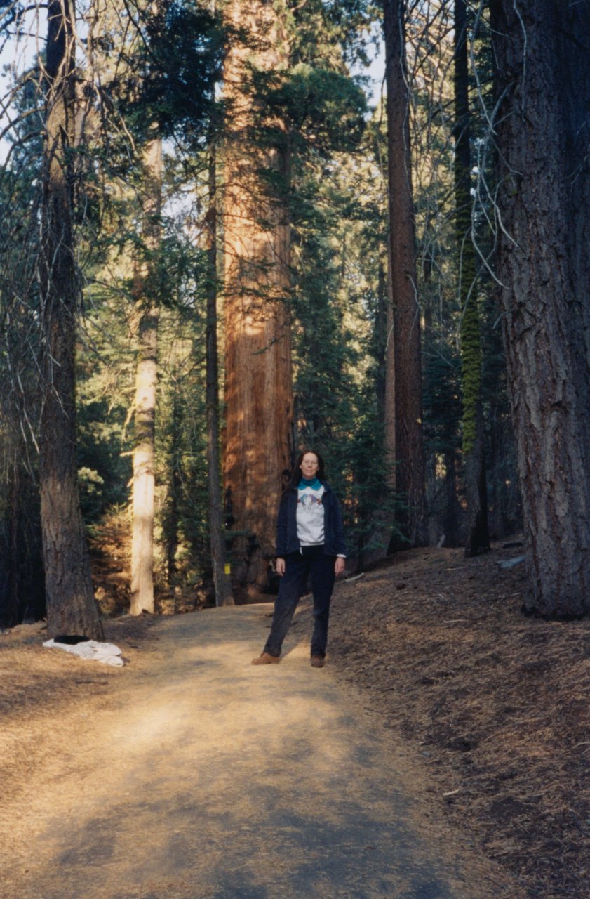 AMJD at Yosemite Dec 2002 6